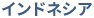インドネシア